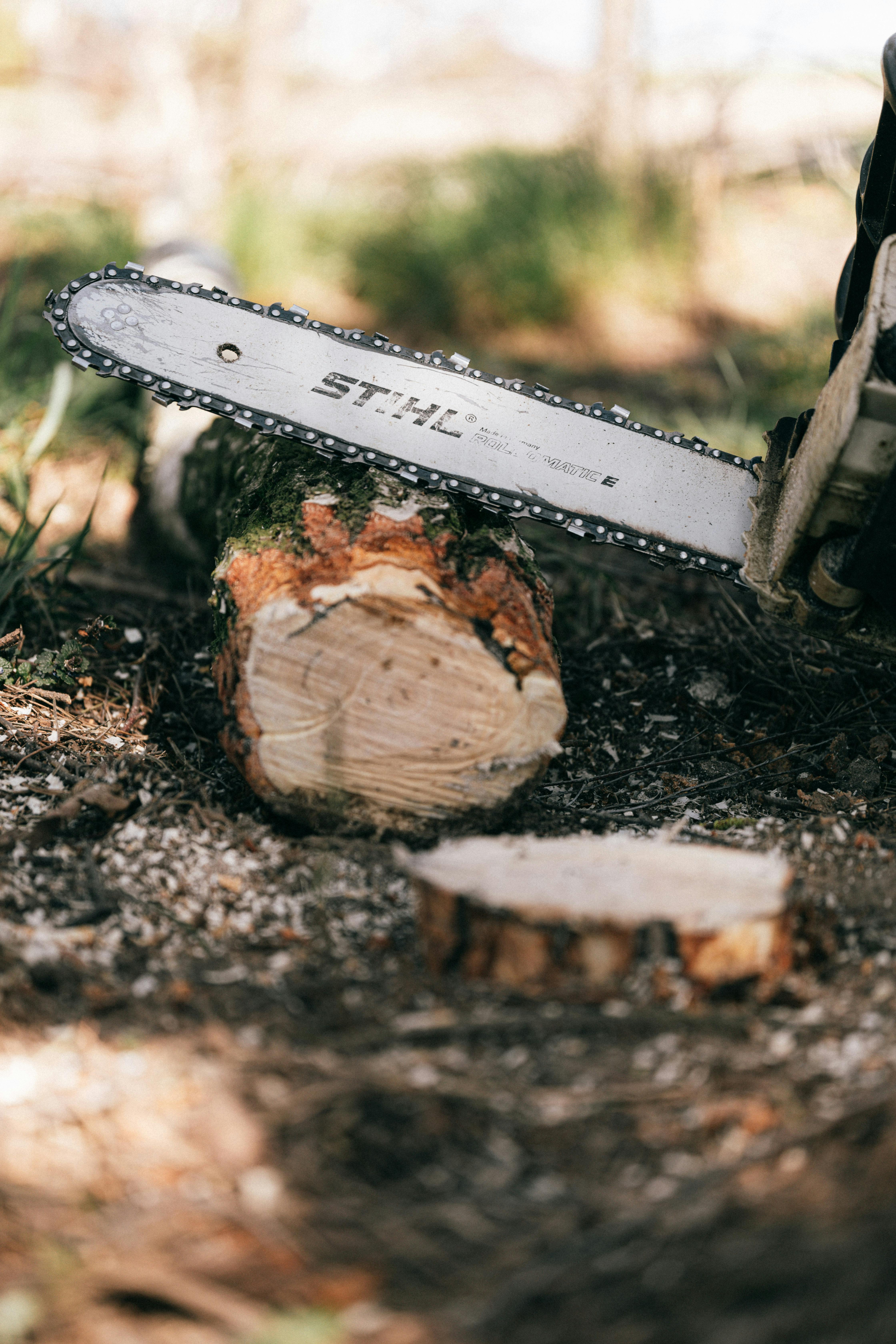 Stihl Akku Kettensäge im Garten