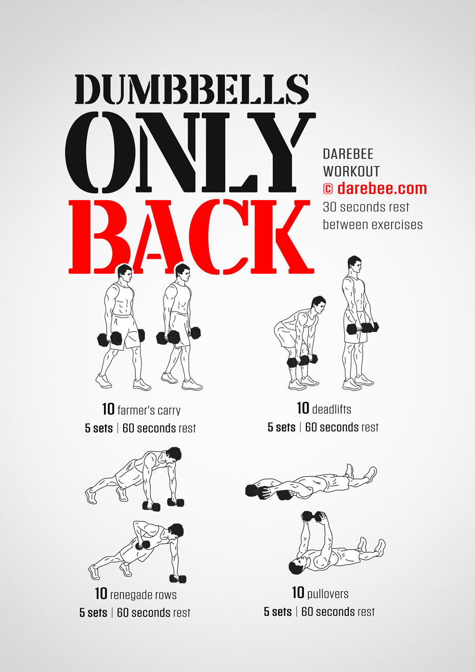 Dumbbell Back Training